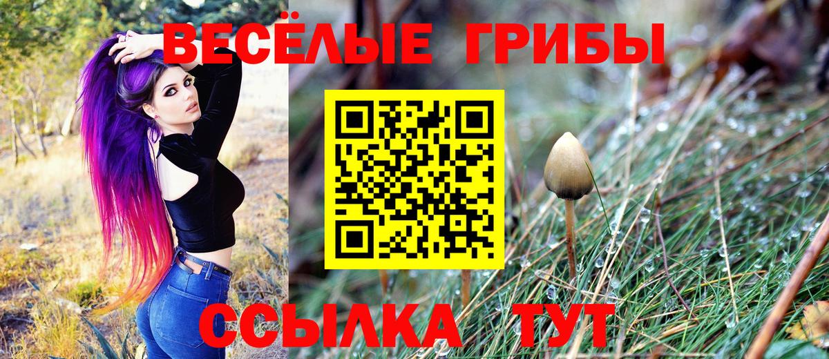 Псилоцибиновые грибы Psilocybine cubensis Сатка