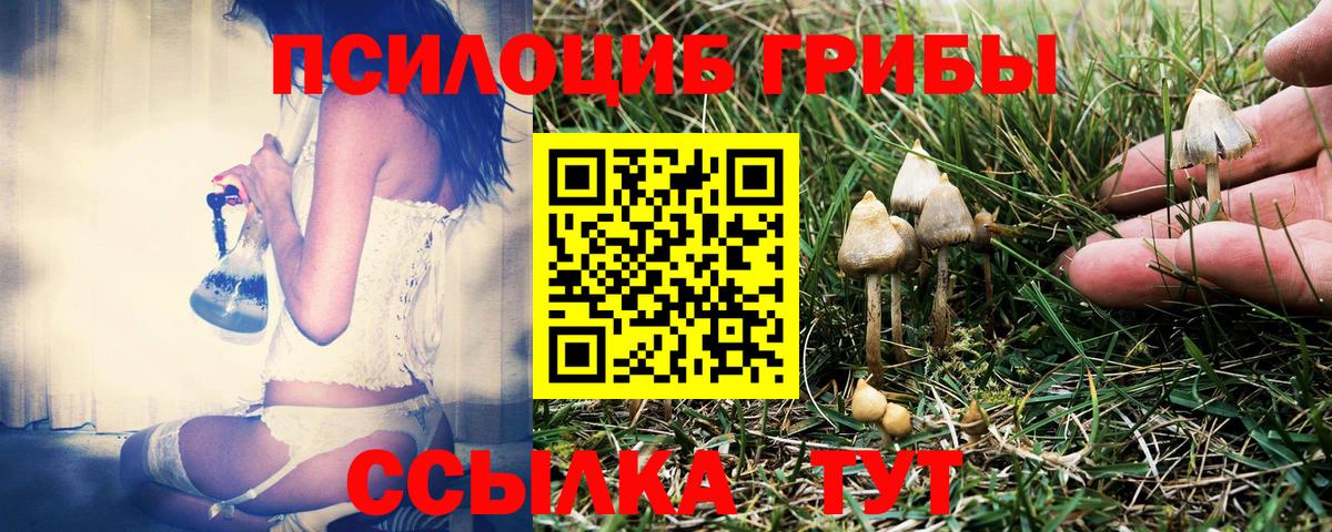 Галлюциногенные грибы Magic Shrooms  Вход с VPN  Сатка 